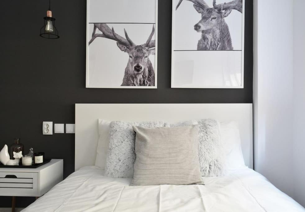 شقة 2 Bdr / Cozy Ap Near Old Town بوخارست المظهر الخارجي الصورة